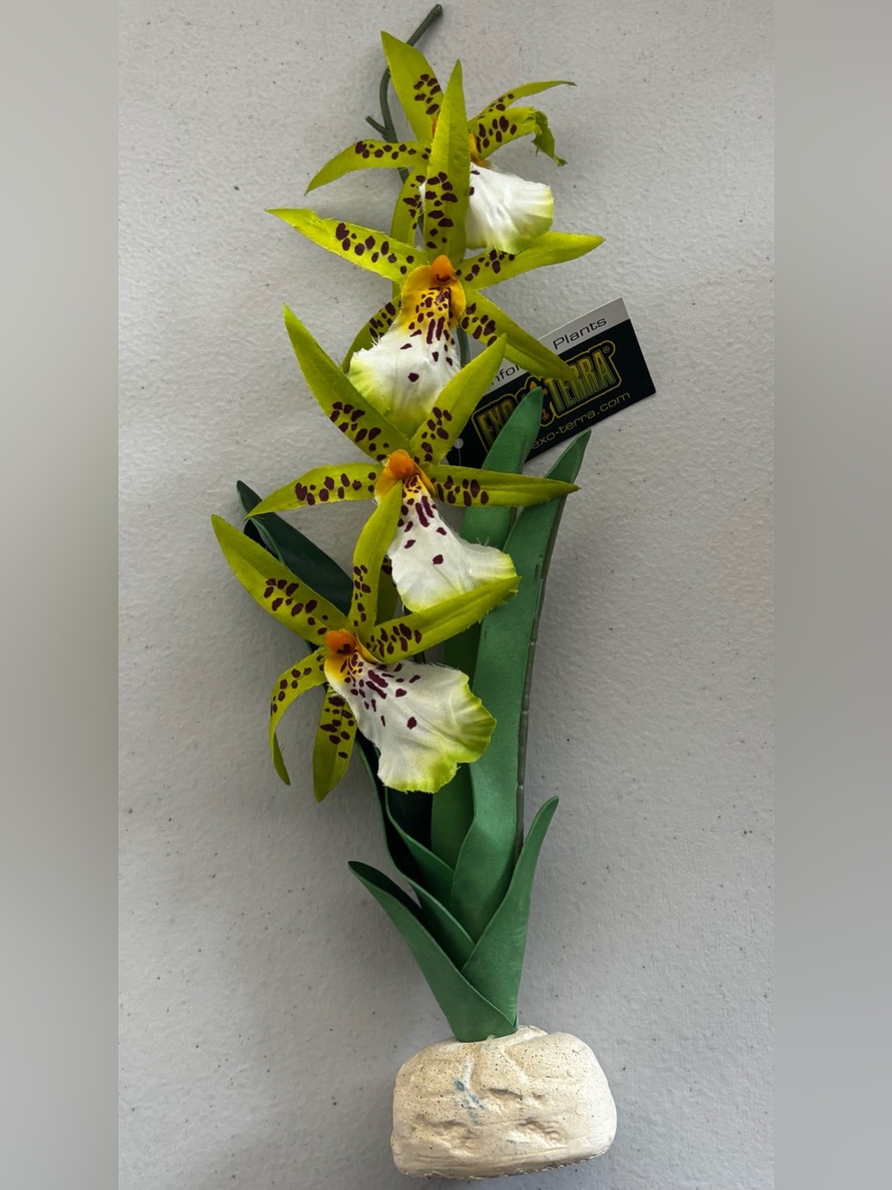 Exo Terra Spider Orchid Reptile Terrarium Plant Decor